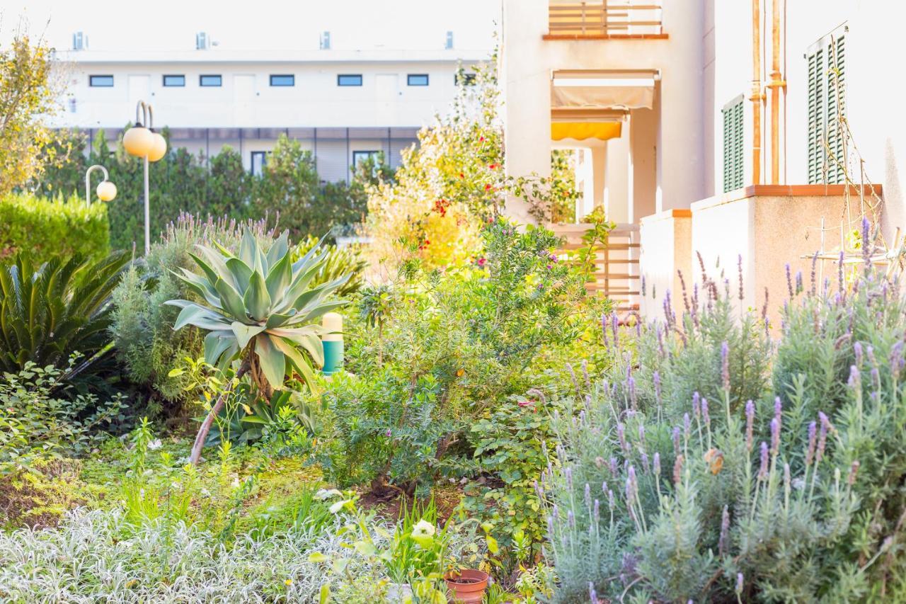 Apartment Codonyer B Port de Pollença